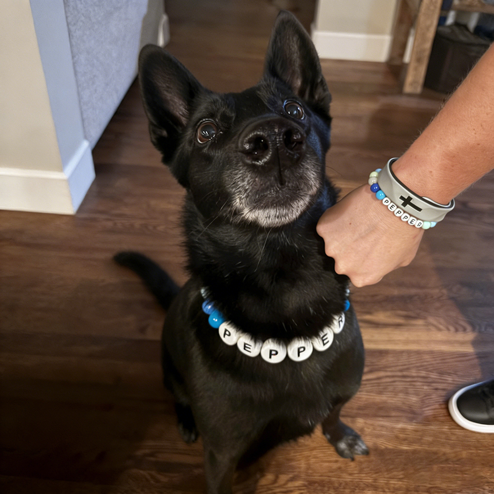 Personalized Handmade Matching Pet Necklace & Owner Bracelet | BKPet456