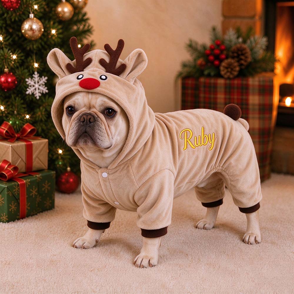 Personalized Embroidered Pets Christmas Reindeer Outfit | MNCloth276