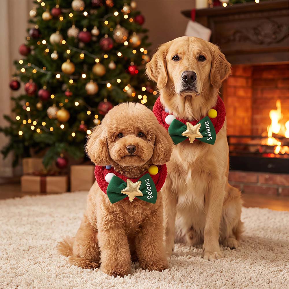 Personalized Christmas Wreath Dog Collar Scarf | MNAccs128
