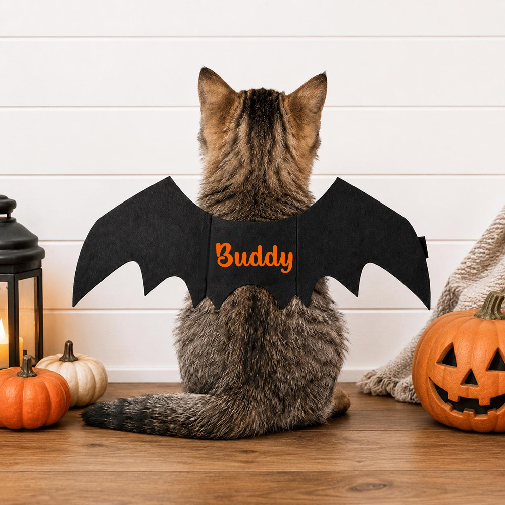 Personalized Halloween Bat Wings For Pets | MNHalloween17