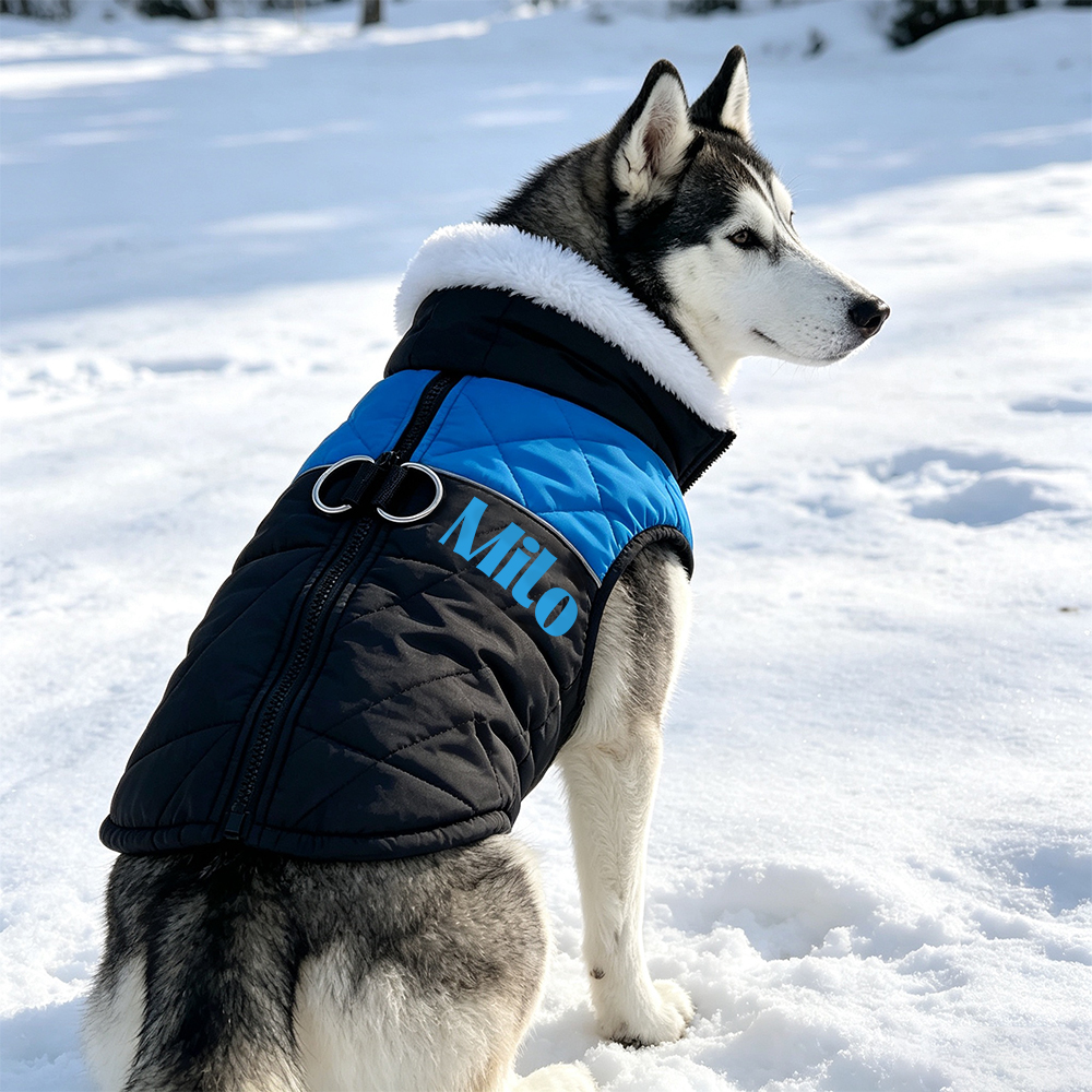 Personalized Winter Pet Fleece-Lined Color-Blocked Vest | BKPet597