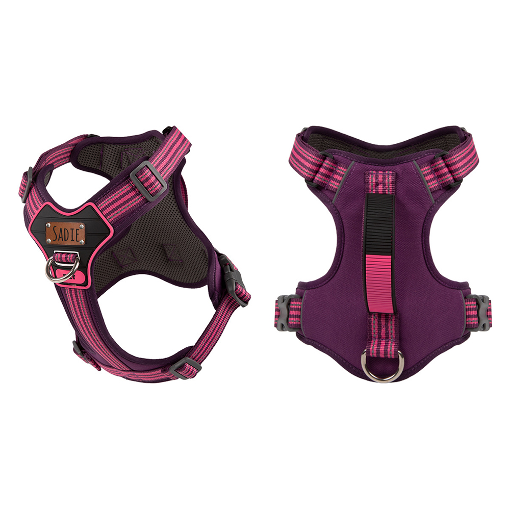 Personalized Explosion-Proof Reflective Dog Harness | BKPet596