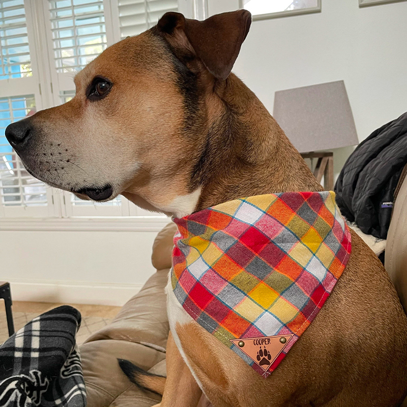 Personalized Plaid Dog Bandana for Comfort & Unique | BKPet42
