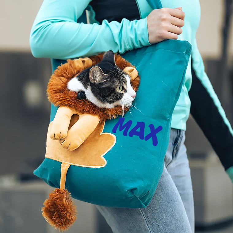 Personalized Lion Design Portable Breathable Cute Pet Carriers | BKPet60