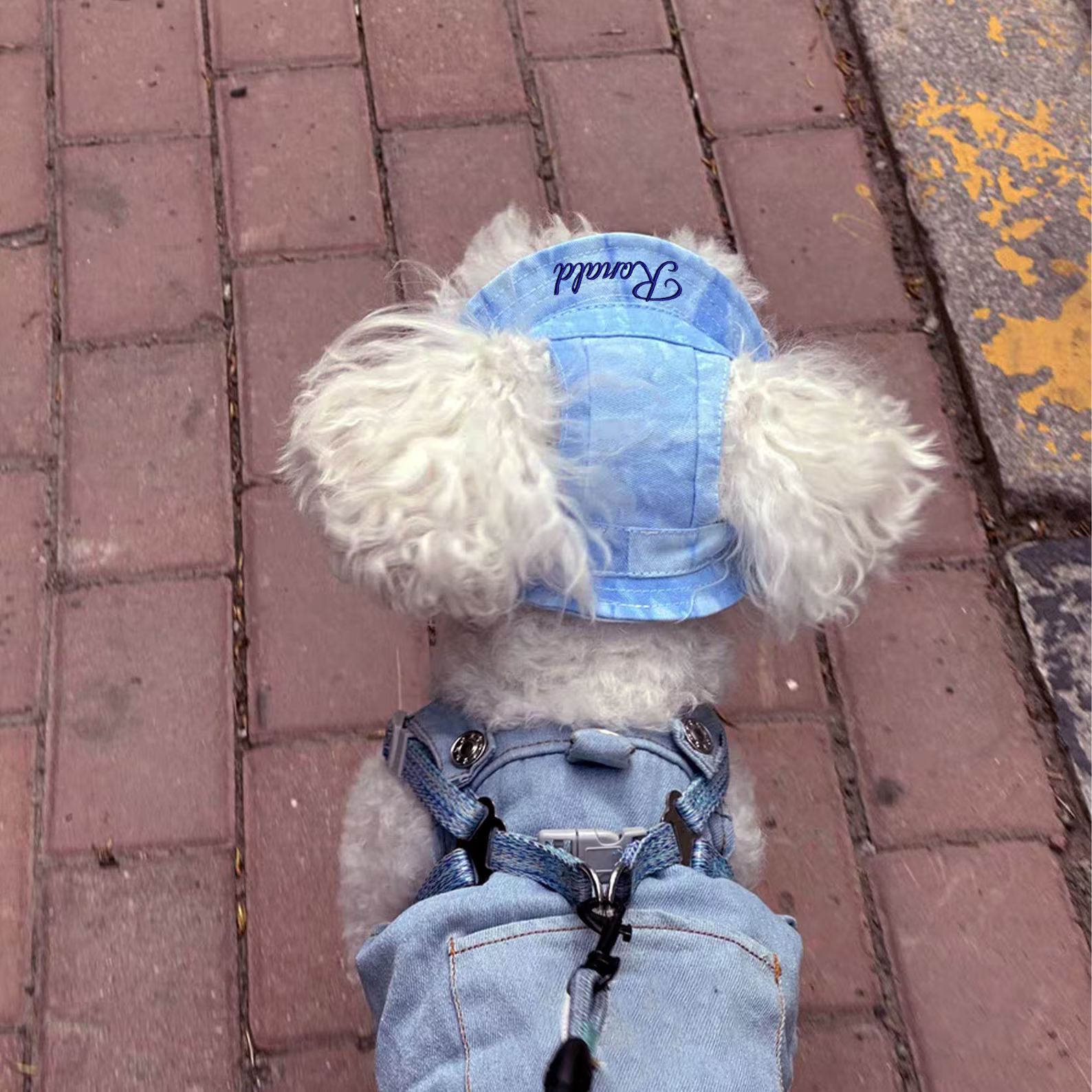 Personalized Embroidery Pet Sun Hat with Ear Holes | BKPet66