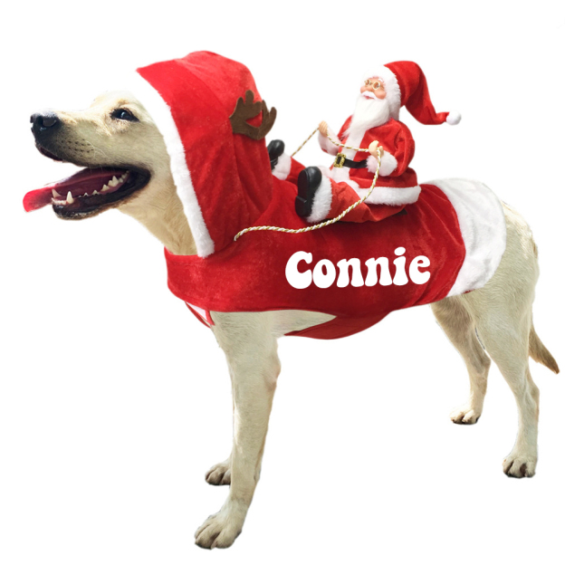 Personalized Christmas Santa Pet Riding Clothes | BKPet96