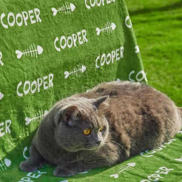 Personalized Lovely Pet Blanket for Comfort & Unique | BKPet104