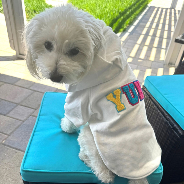 Personalized Varsity Letter Dog Hoodie for Comfort and Unique | BKPet140