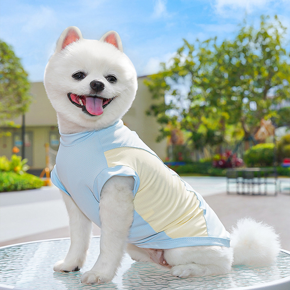 Personalized Pet Summer Cooling Quick-Drying Vest | BKPet155