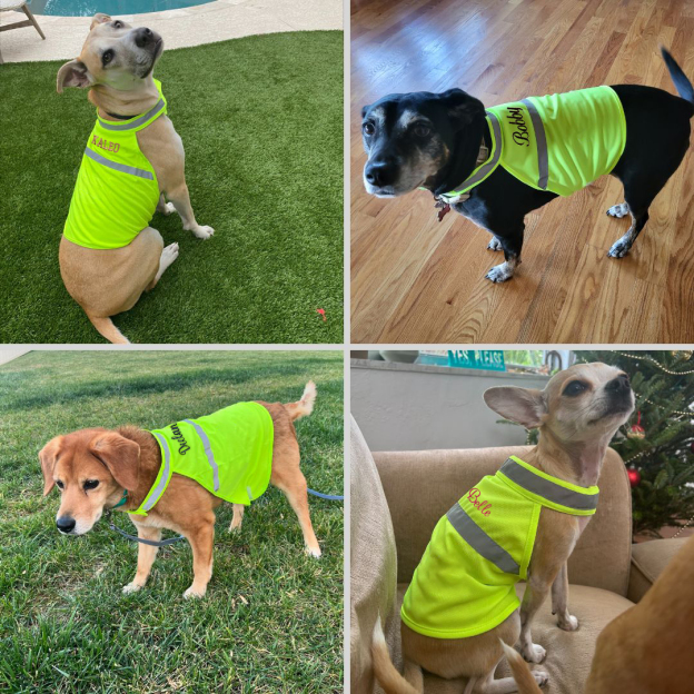Personalized Pet Reflective Safety Bandana & Vest Set | BKPet163