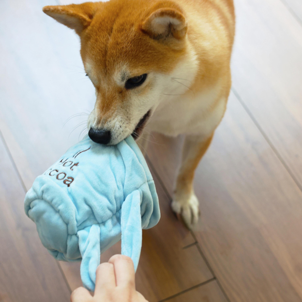 Personalized Handmade Pet Squeaky Interactive Chew Toy | BKPet172