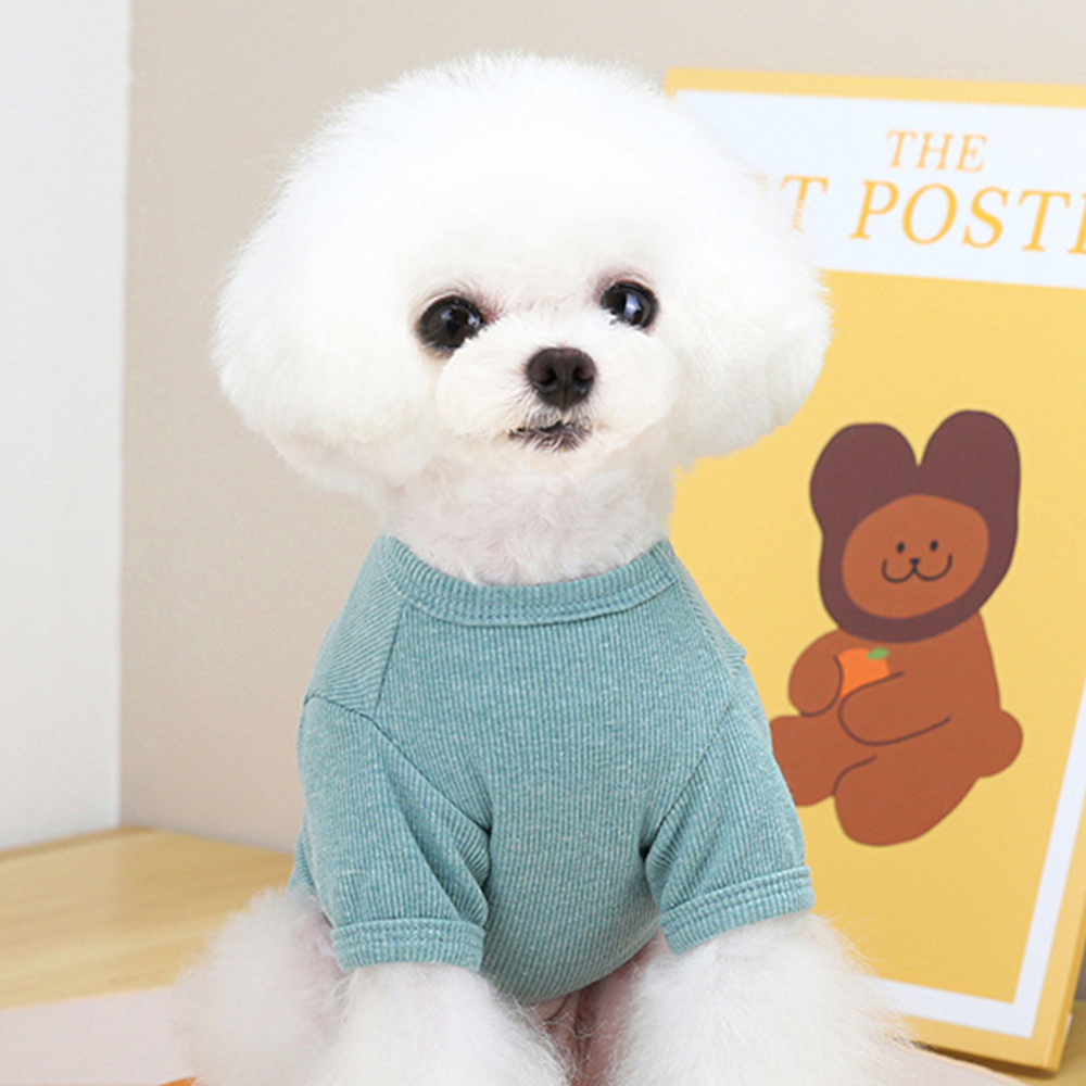 Personalized Pet Cute Comfort Shirt | BKPet178