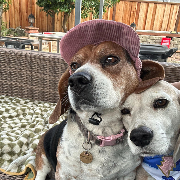 Personalized Corduroy Adjustable Pet Pet Baseball Cap | BKPet184