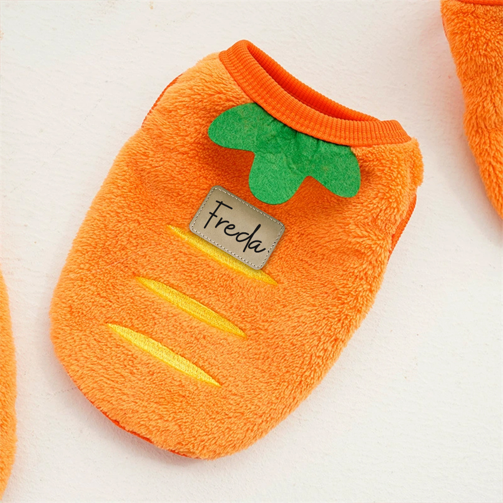 Personalized Cute Pet Soft Plush Fleece Vest | BKPet194