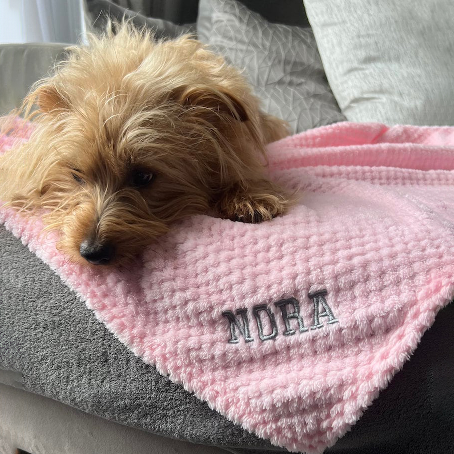 Personalized Embroidered Pet Soft Waffle Blanket | BKPet197