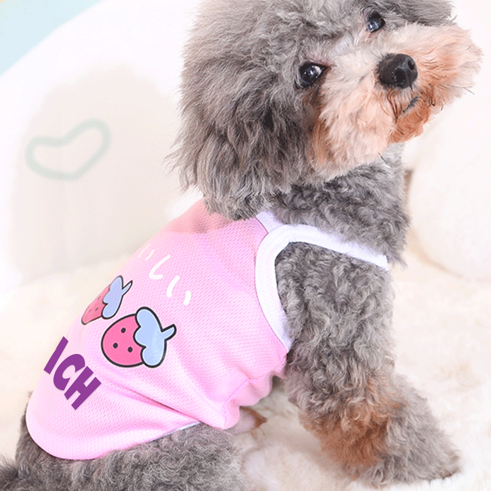 Personalized Cute Breathable Pet Summer Cool Mesh Vest | BKPet205