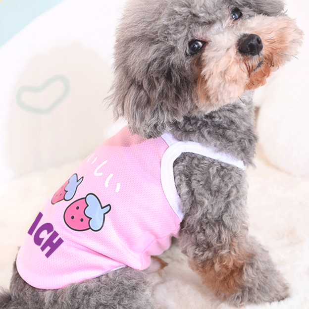 Personalized Cute Breathable Pet Summer Cool Mesh Vest | BKPet205