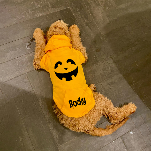 Personalized Halloween Puppy Hoodie for Comfort & Unique | CWHalloween56
