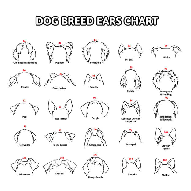 Personalized Memorial Plaque Dog Ear Collar Sign | BKPet212