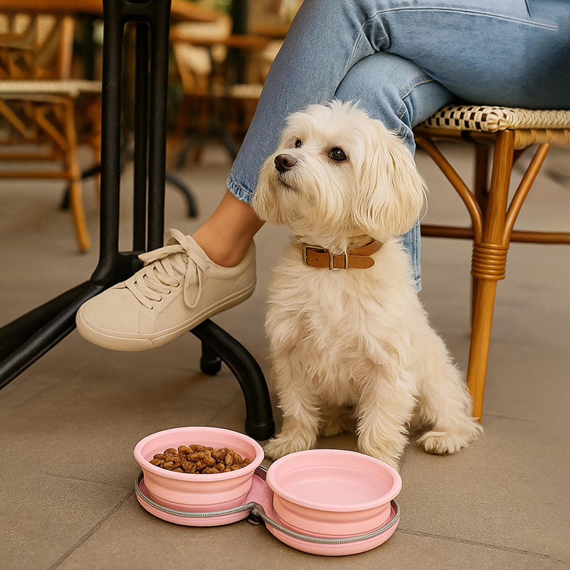 Personalized Collapsible Portable 2-in-1 Food & Water Dish Dog Bowl | BKPet214