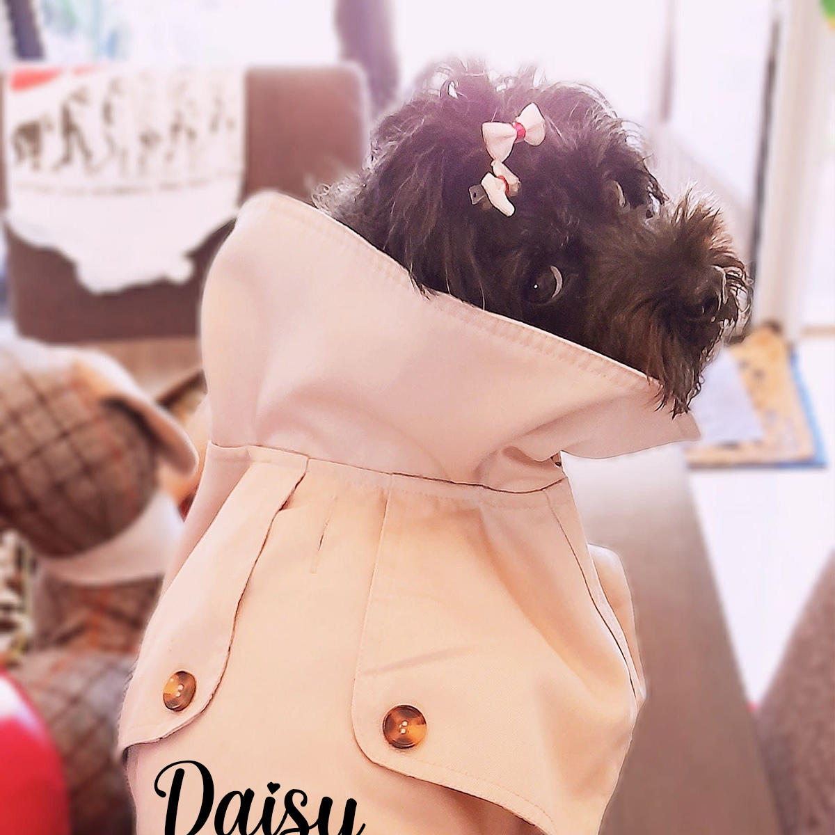 Personalized Pet British Style Jacket | BKPet215