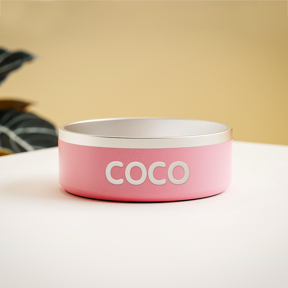 Personalized Stainless Steel Pet Food Bowl | BKPet229
