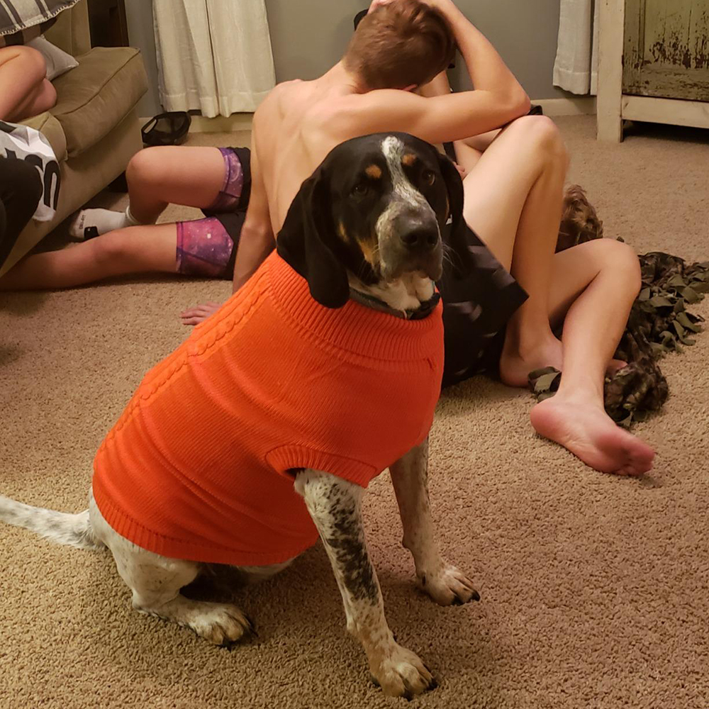 Personalized Hand Embroidery Pets Colourful Sweater | BKPet233