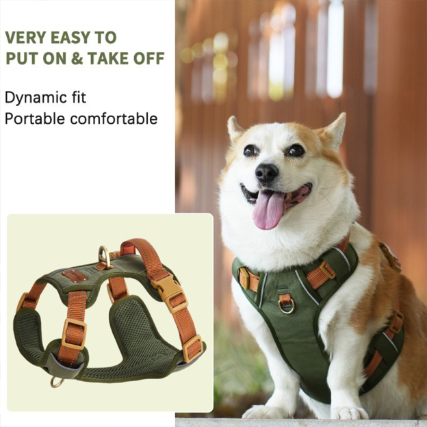 Personalized Night Reflective Luxury Puppy Harness | BKPet237