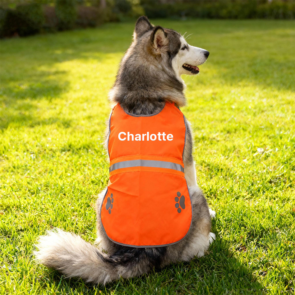 Personalized Embroidered Pet Safety Vest| BKPet293
