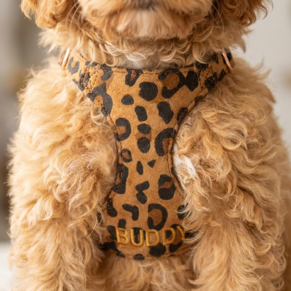 Personalized Embroidered Pet Leopard Print Harness Leash Set | MNAccs86