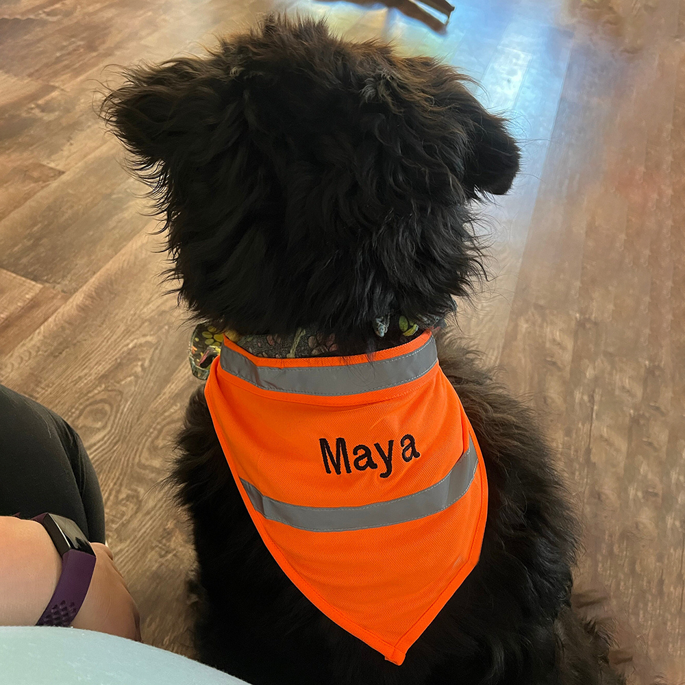 Personalized Pet Reflective Safety Bandana & Vest Set | BKPet163