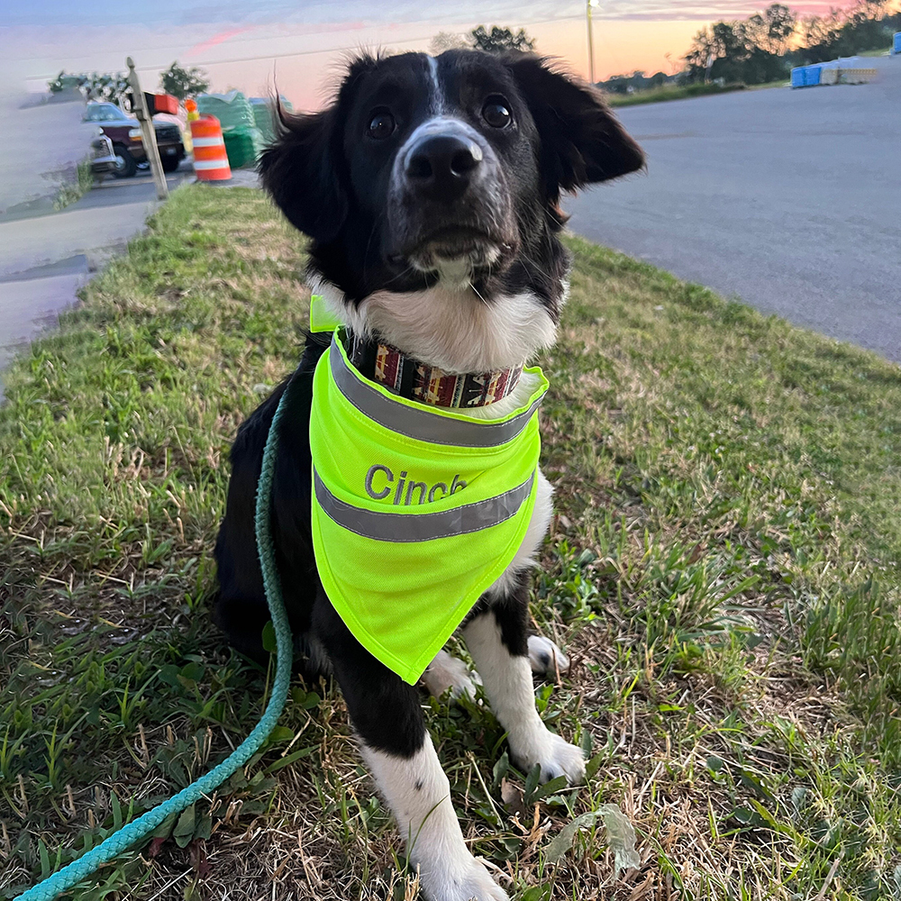 Personalized Pet Reflective Safety Bandana & Vest Set | BKPet163