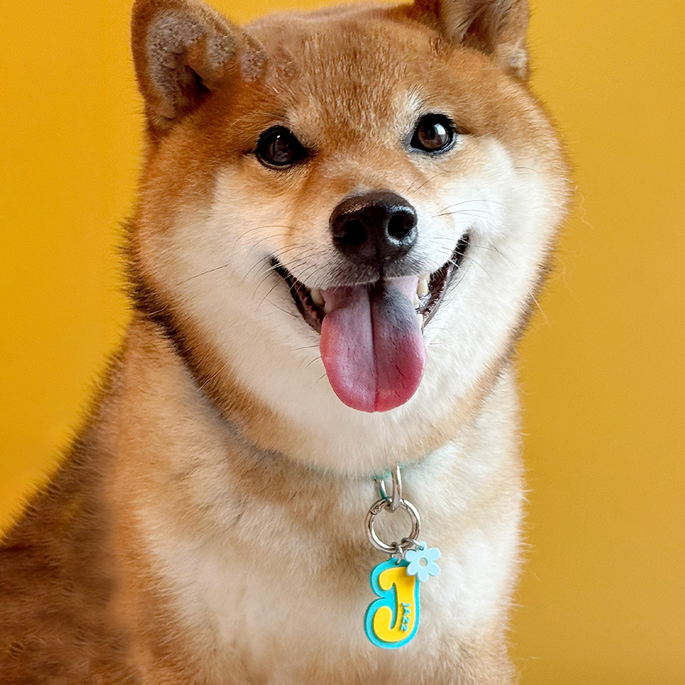 Personalized 3D Printed Initial Pet ID Tag | MNAccs132