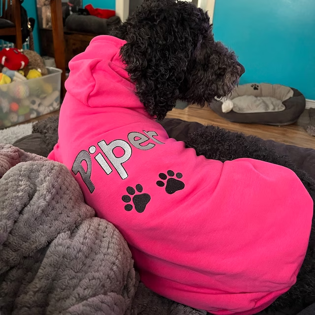 Personalized Warm Puppy Hoodie for Comfort & Unique | BKPet22