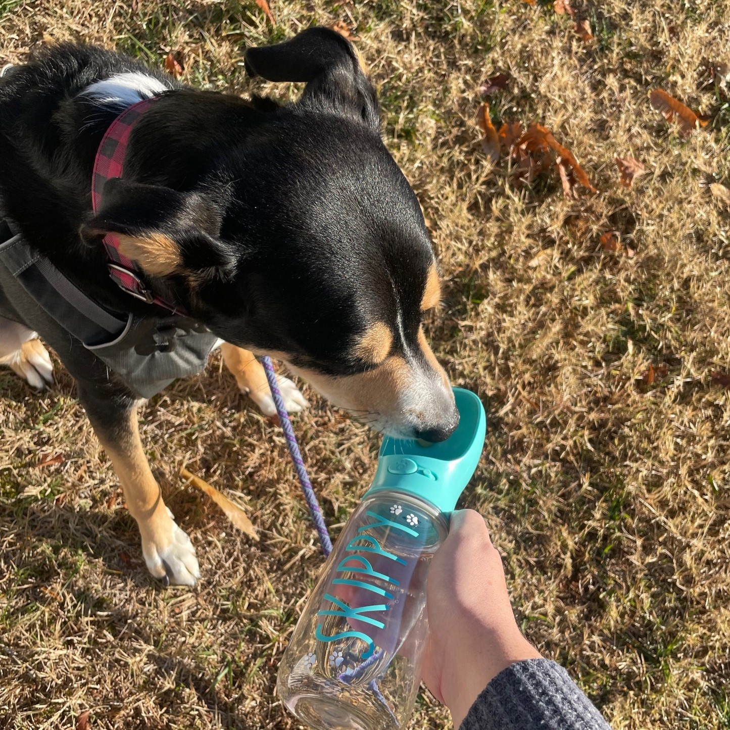 Personalized Dog Water Bottle Container | BKPet80
