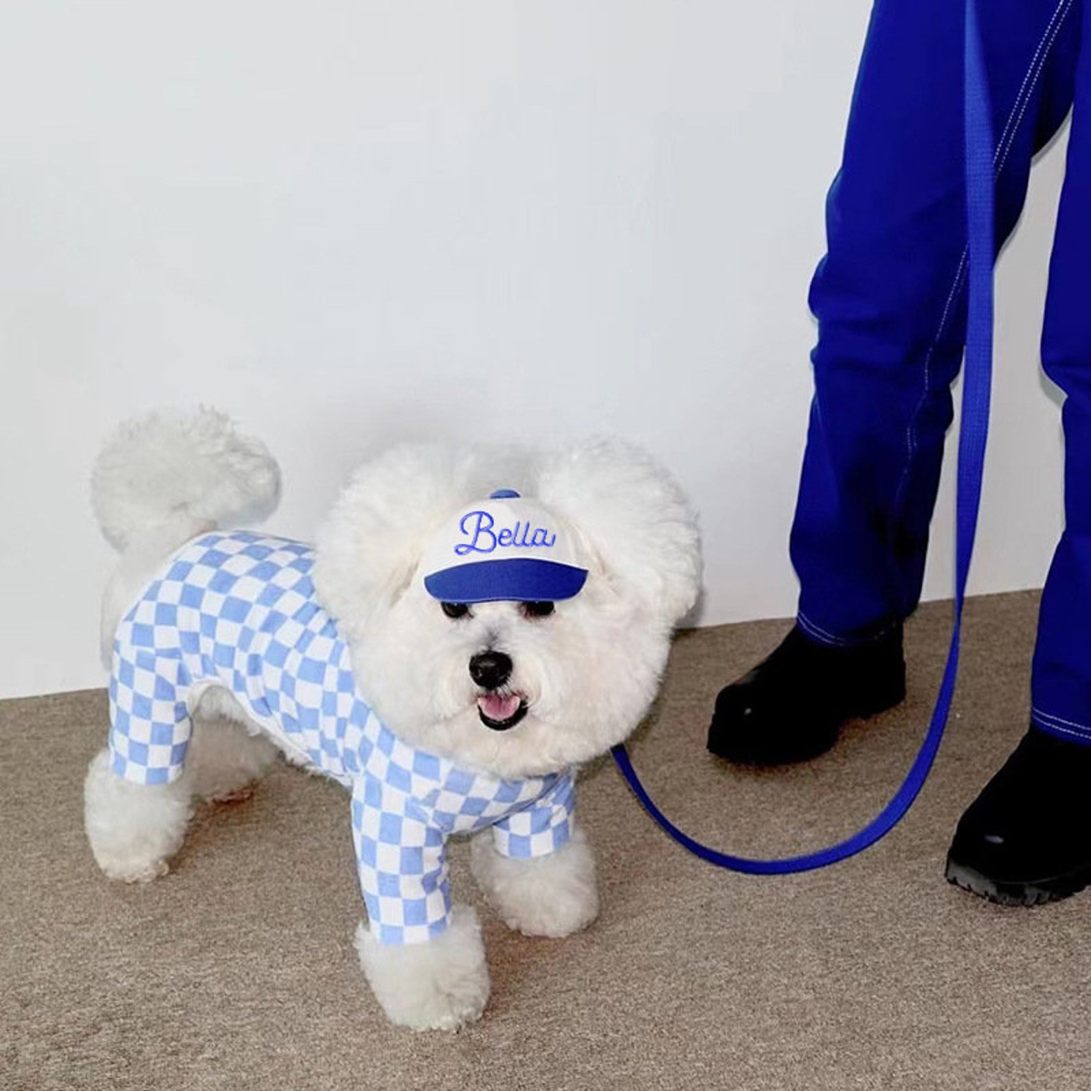 Personalized Embroidery Pet Baseball Cap with Ear Holes | CWPet27