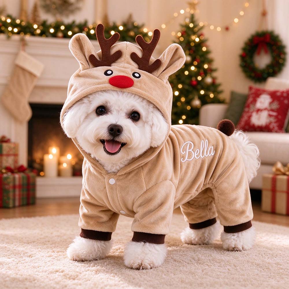Personalized Embroidered Pets Christmas Reindeer Outfit | MNCloth276