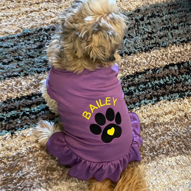 Personalized Soft Puppy Dress with Ruffle | CWPet26
