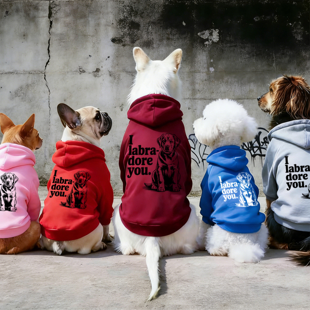 I Iabra dore you Puppy Hoodie | BKPet315