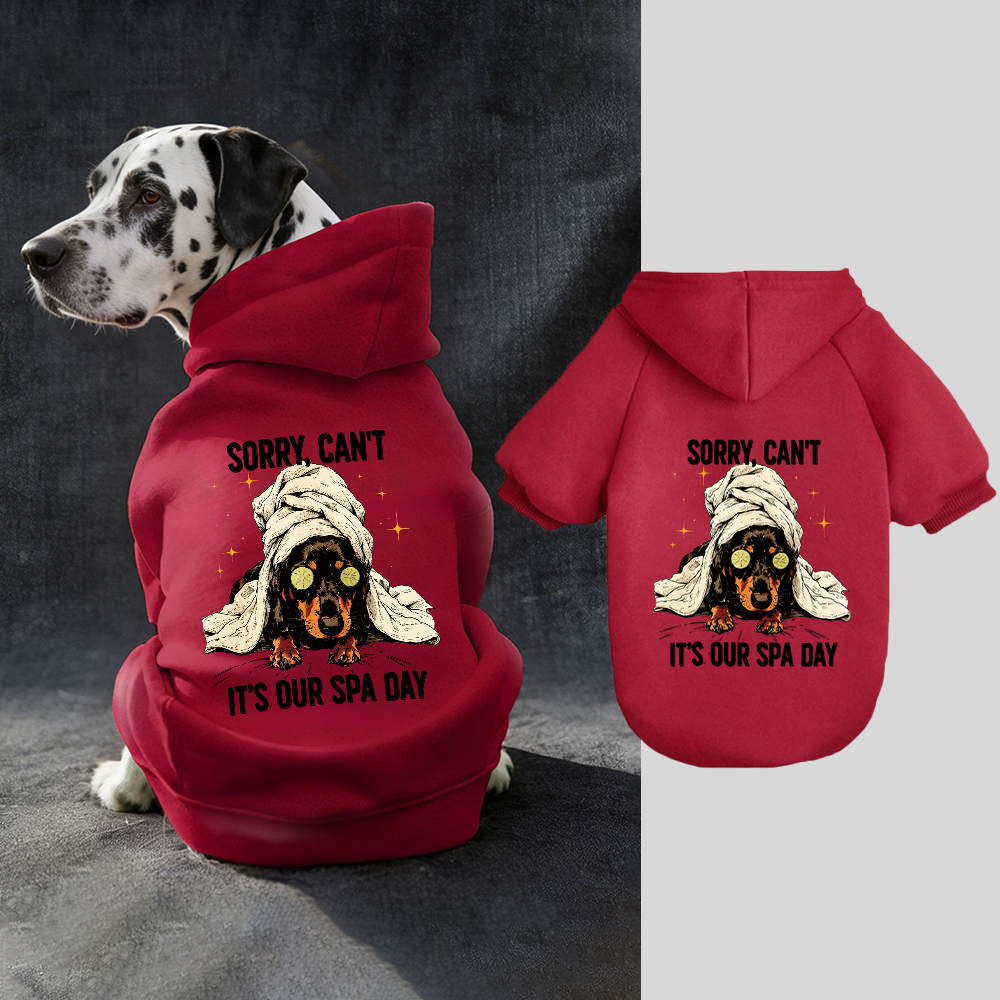 IT'S OUR SPA DAY Puppy Hoodie | BKPet339