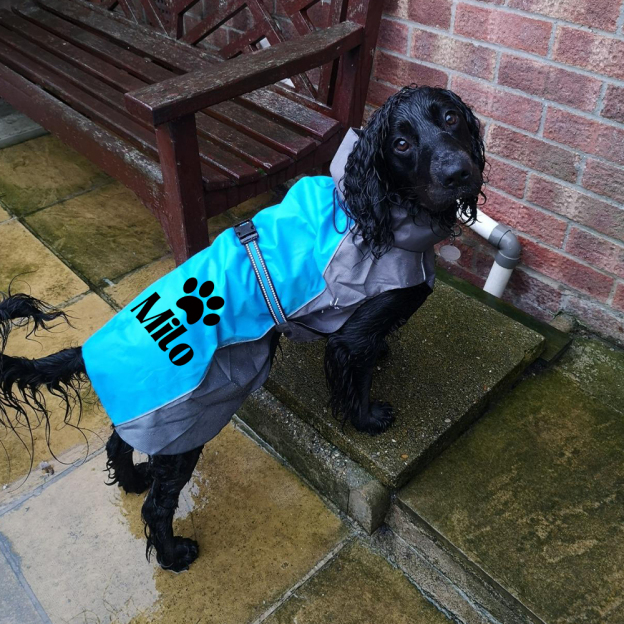 Personalized Pet Large Size Waterproof Raincoat Jacket | BKPet414