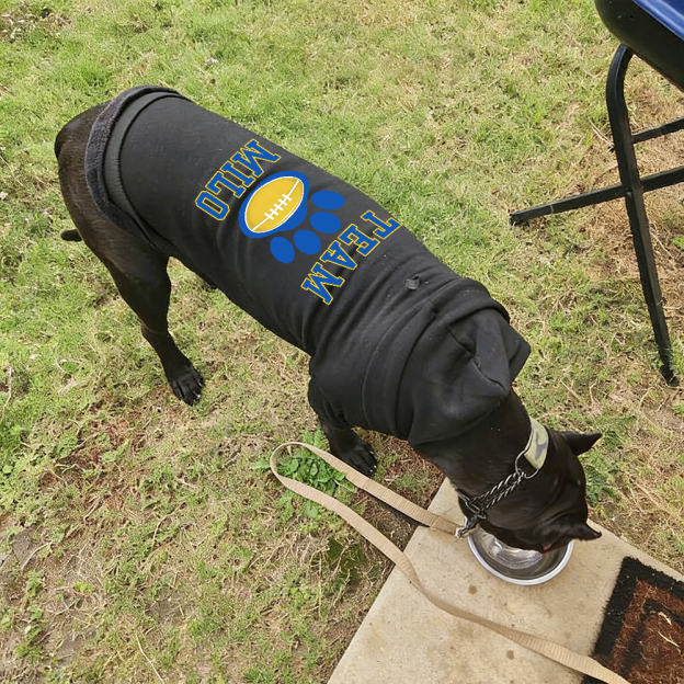 Personalized Football Team Pet Paw Soft Hoodie | BKPet427