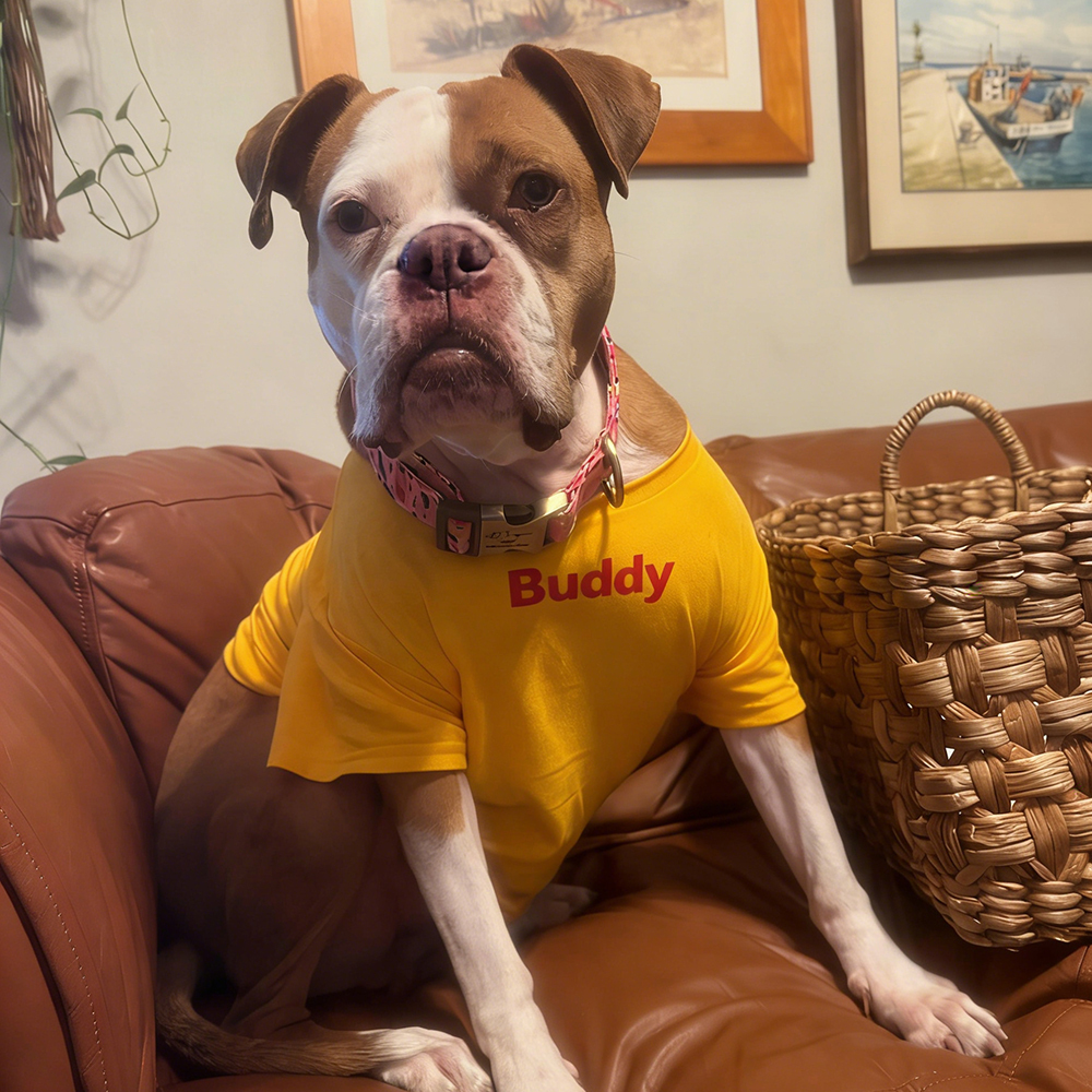 Personalized Chicken Nuggets Large Size Soft Pet Tee | BKPet447
