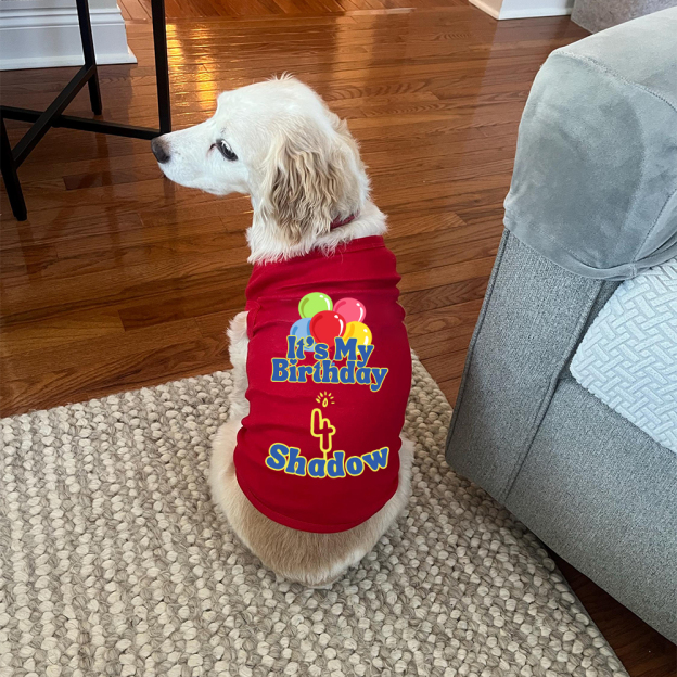 Personalized It’s My Birthday Pet Shirt | BKPet449