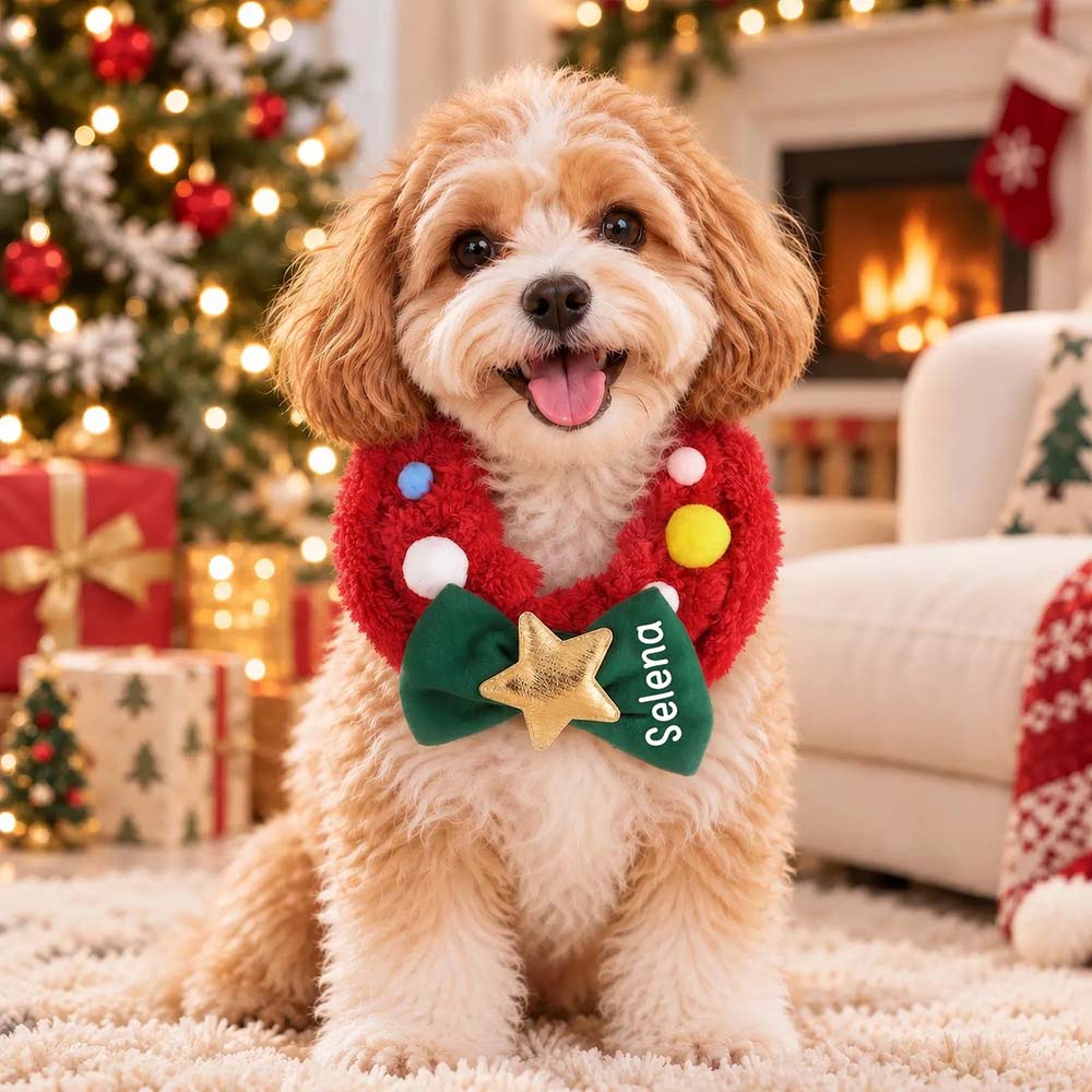 Personalized Christmas Wreath Dog Collar Scarf | MNAccs128