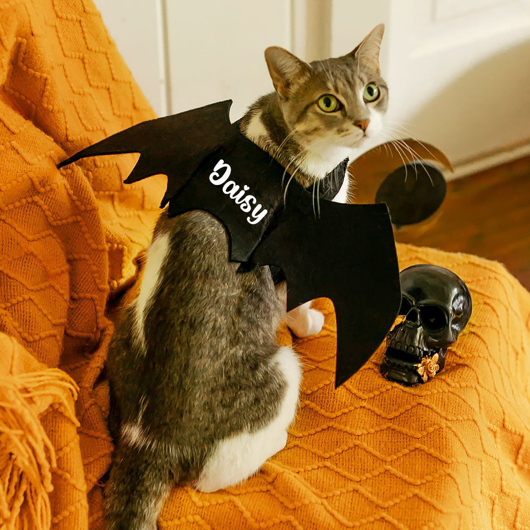 Personalized Halloween Bat Wings For Pets | MNHalloween17