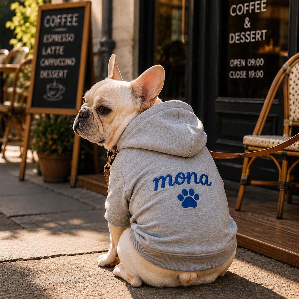 Personalized Embroidered Multicolor Dog Hoodie | MNCloth262