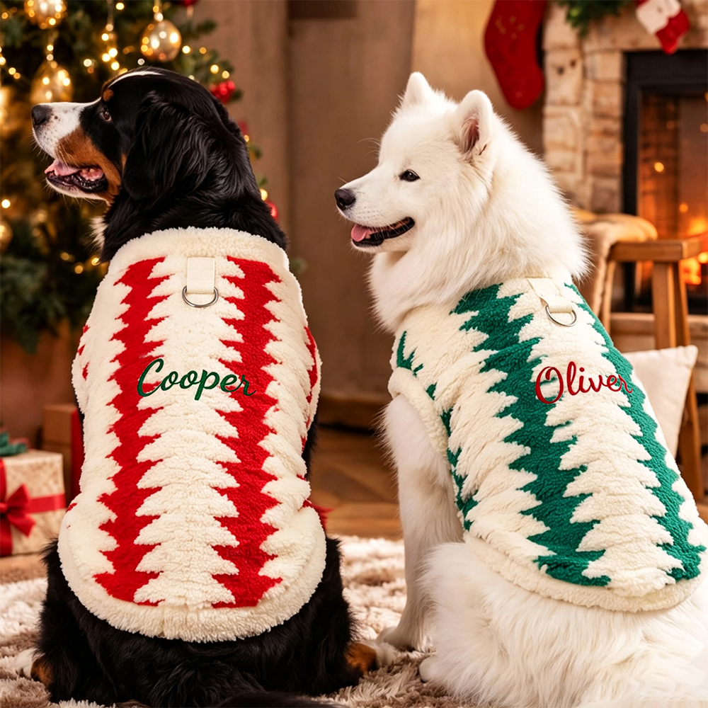 Personalized Embroidered Christmas Dog Sweater | BKPet603