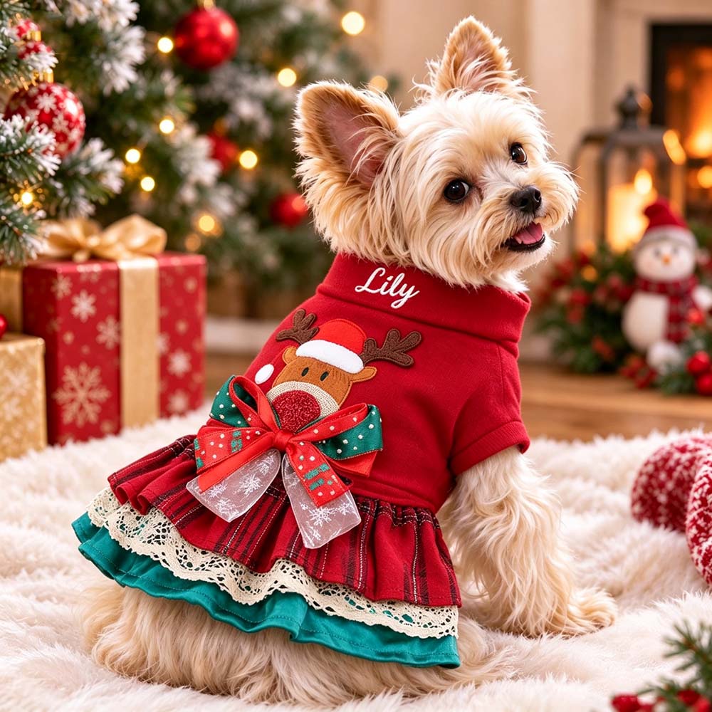 Personalized Embroidered Pets Christmas Reindeer Dress | MCGift428