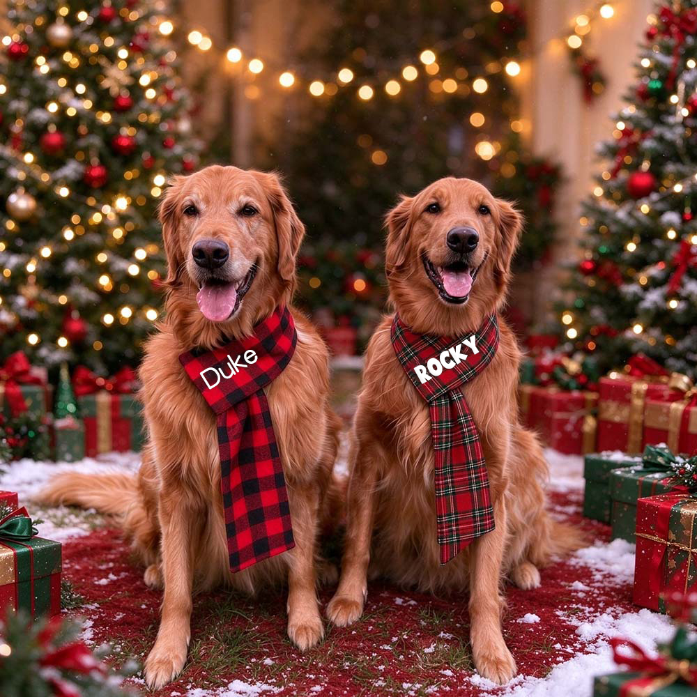 Personalized Pets Christmas Adjustable Plaid Scarf | BKPet642